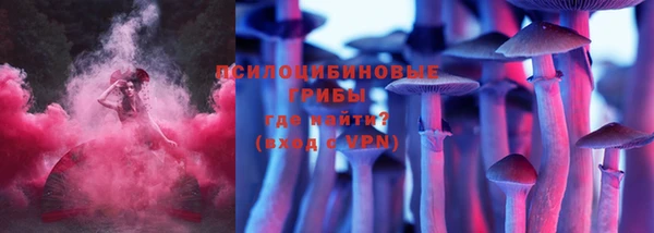 эйфоретик Зерноград