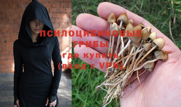 эйфоретик Зерноград