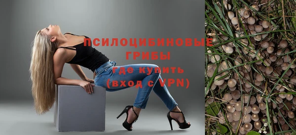 эйфоретик Зерноград