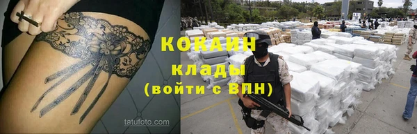 эйфоретик Зерноград