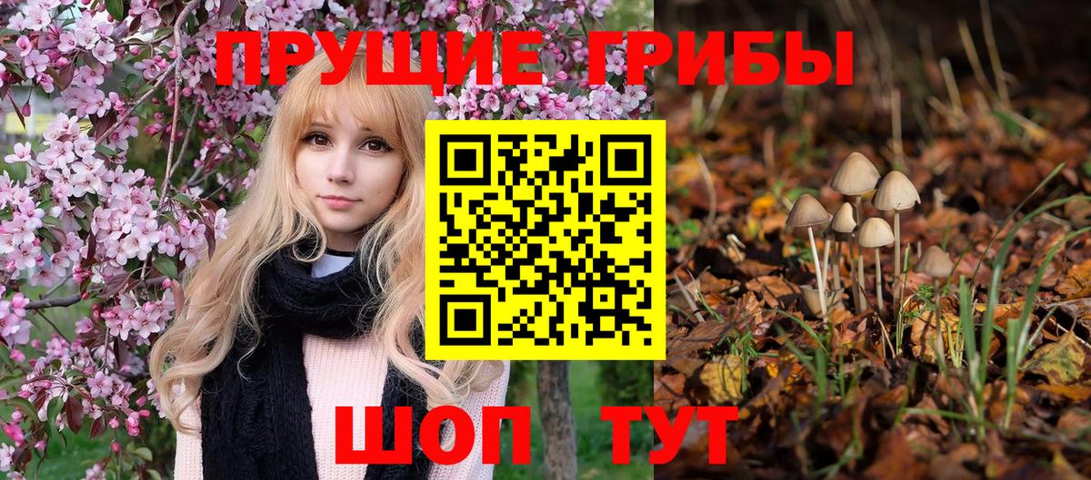 Псилоцибиновые грибы мухоморы Брянск