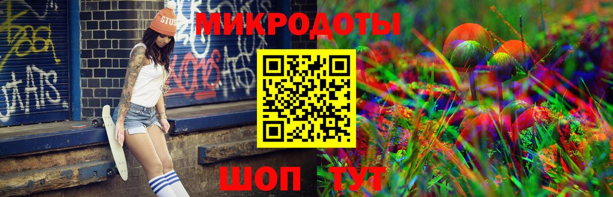 Псилоцибиновые грибы Psilocybine cubensis  Брянск 