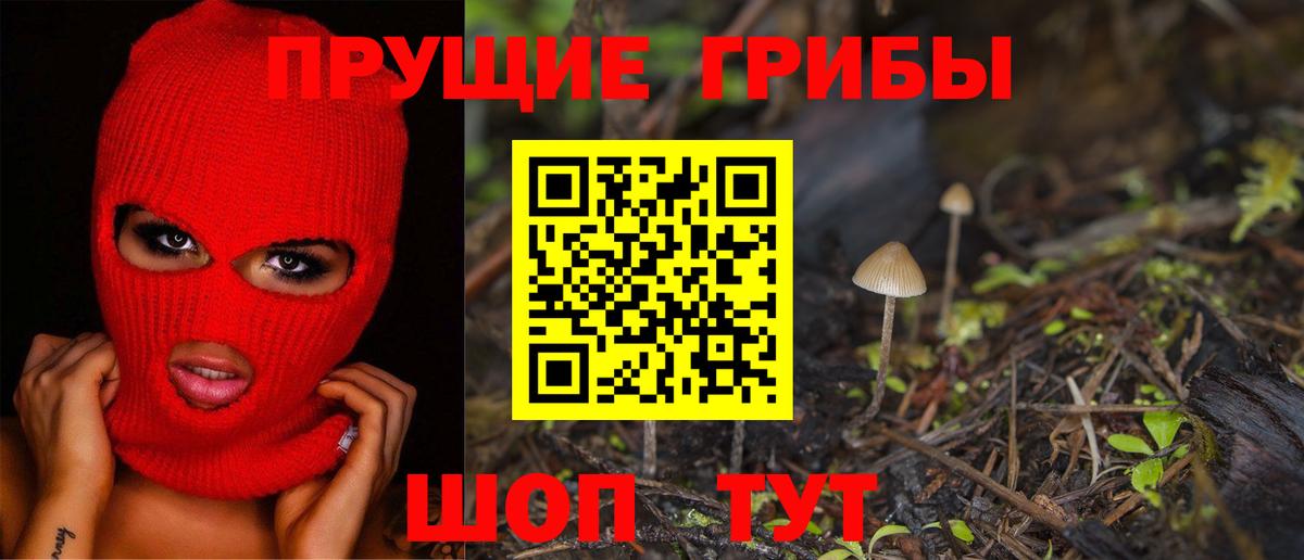 Псилоцибиновые грибы Psilocybe  Вход с VPN  Брянск 