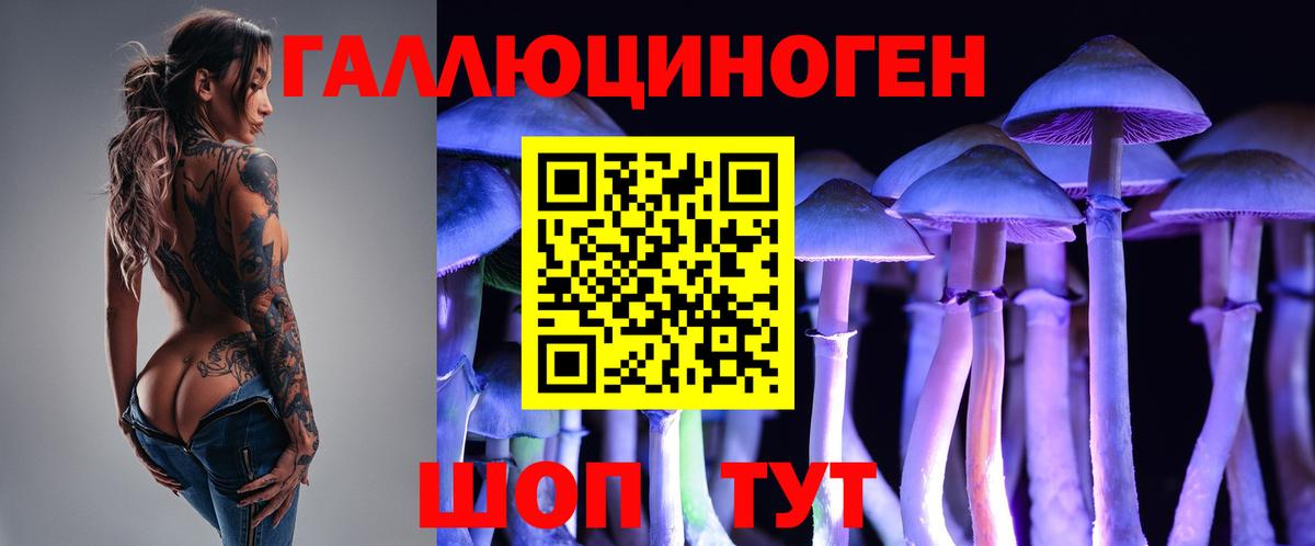 Псилоцибиновые грибы Psilocybe Брянск