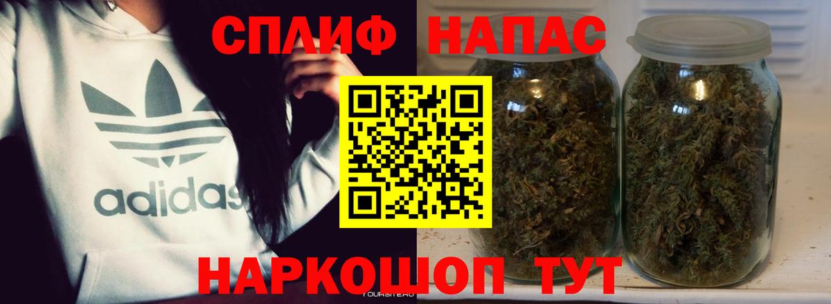 Конопля сатива Брянск